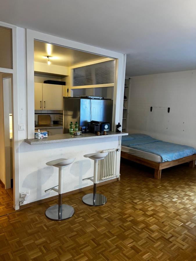 Beautiful Large Studio In Center Of Geneva Free Wifi Genebra Exterior foto